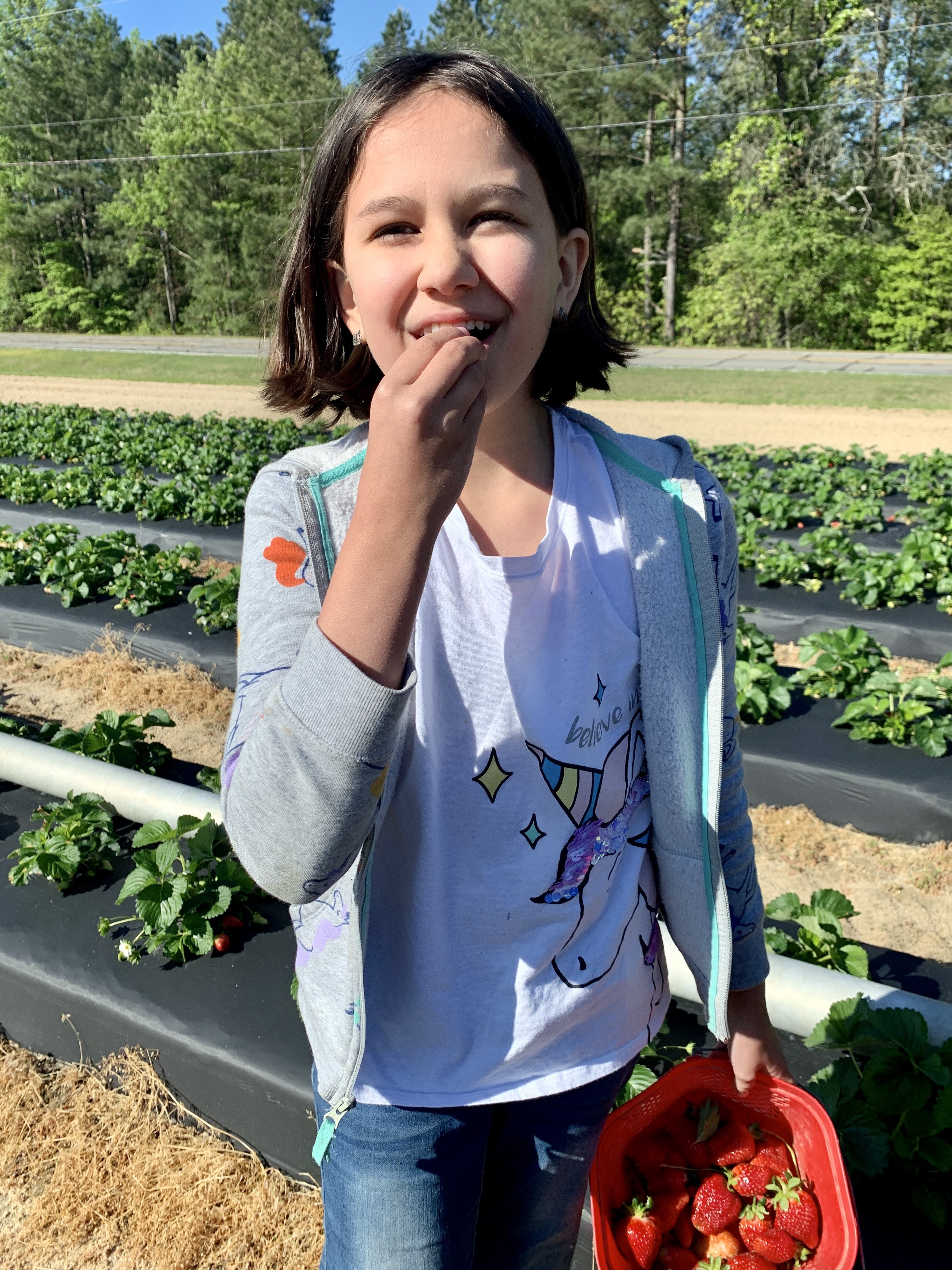 strawberries